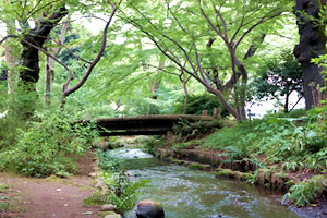 武蔵高等学校中学校