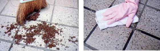 玄関のたたきは茶がらで掃く