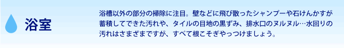 浴室　浴槽以外の部分の掃除に注目。壁などに飛び散ったシャンプーや石けんかすが蓄積してできた汚れや、タイルの目地の黒ずみ、排水口のヌルヌル…水回りの汚れはさまざまですが、すべて根こそぎやっつけましょう。