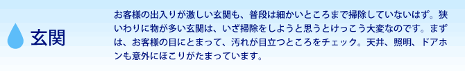 玄関　お客様の出入りが激しい玄関も、普段は細かいところまで掃除していないはず。狭いわりに物が多い玄関は、いざ掃除をしようと思うとけっこう大変なのです。まずは、お客様の目にとまって、汚れが目立つところをチェック。天井、照明、ドアホンも意外にほこりがたまっています。