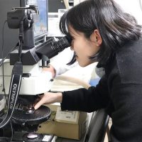 「【後編】東京大学大学院理学系研究科教授　三河内 岳先生」記事サムネイル