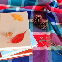 「【国語の文章題】応用問題はできるのに基礎問題を間違える息子」記事サムネイル