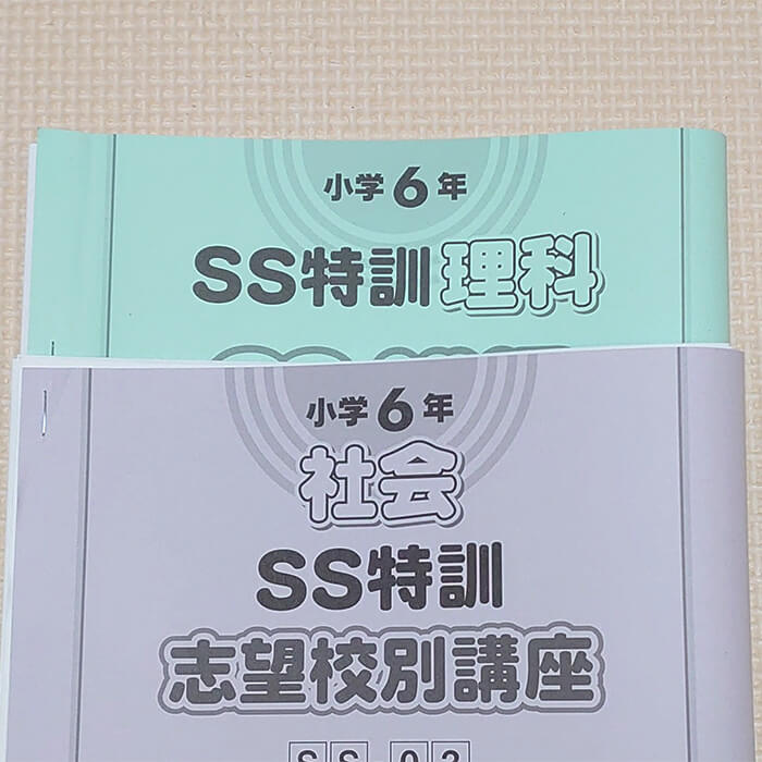 「サピックス6年生、志望校別講座がスタート【さくら子 vol.10】」記事サムネイル