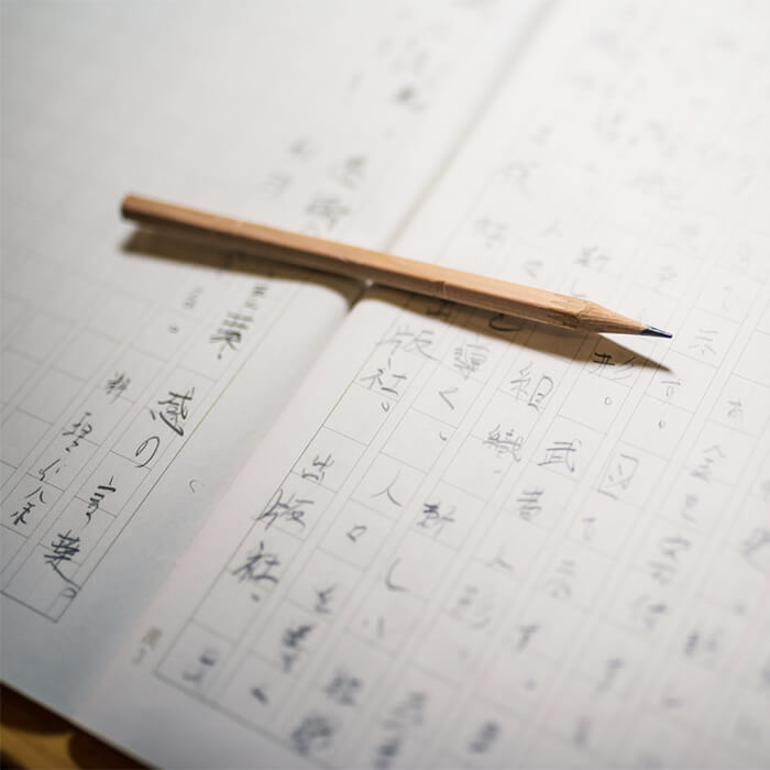 「【中学受験】国語が得意な子が有利？中受ビギナー家庭へのアドバイス」記事サムネイル