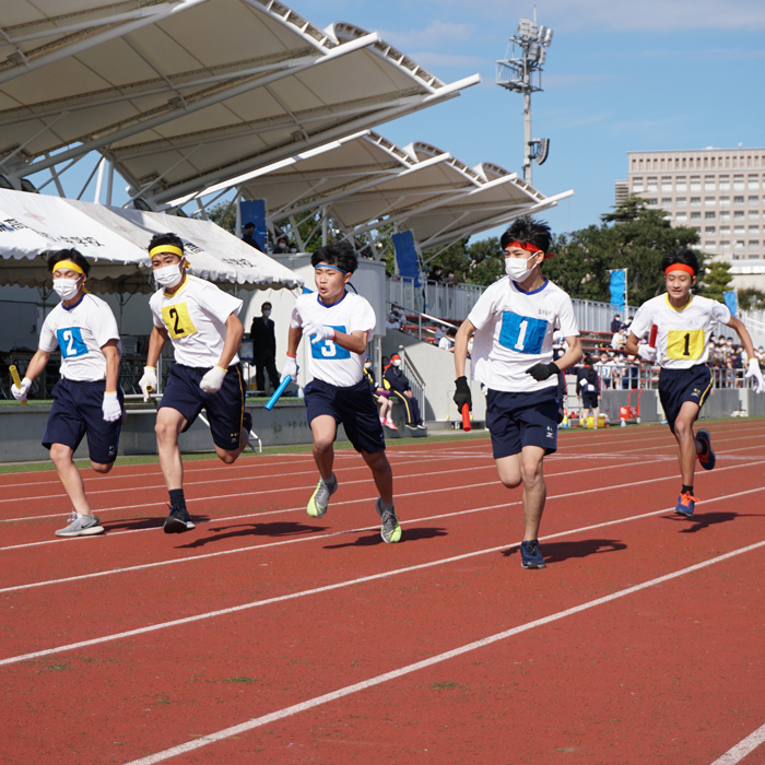 「熱闘！日大藤沢“秋の大体育祭”【エデュスタッフ訪問記】」記事サムネイル