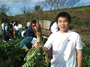 城西川越中学 城西大学附属川越高等学校 収穫