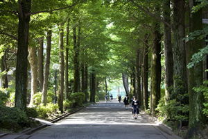 武蔵野女子学院中学校・高等学校 校内