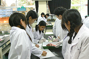 和洋国府台女子中学校・高等学校