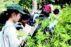 順天中学校・高等学校