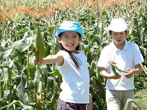 聖セシリア小学校