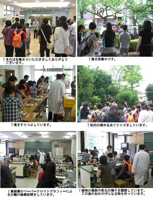 東京立正中学校高等学校