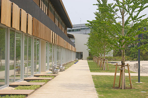 帝京大学小学校