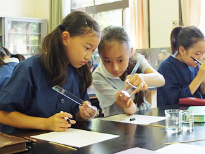 聖セシリア小学校