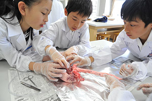 昭和学院小学校