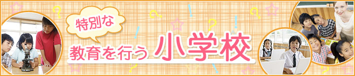 特別な教育を行う小学校
