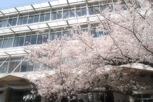 桜丘中学・高等学校