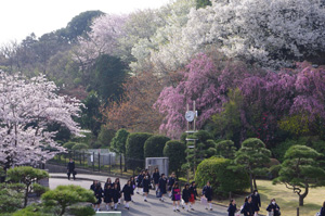 清泉女学院中学高等学校