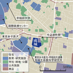 制限速度20㎞の通学路