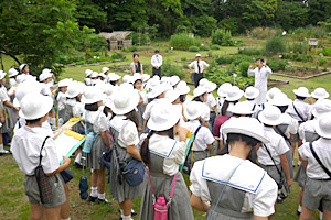 日本大学薬学部　薬用植物園見学
