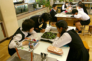 理科授業におけるパンジーの観察のようす