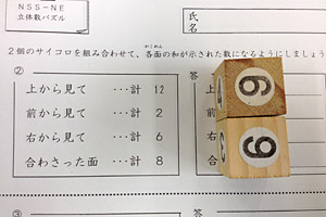 知能訓練　立体数パズル