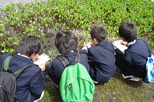 京都学園中学校 フィールドワーク1.深泥池の生態