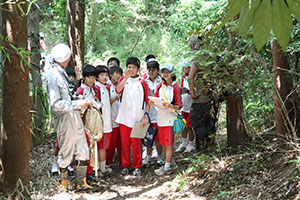 千葉明徳中学校