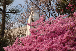 東京純心女子中学校・高等学校