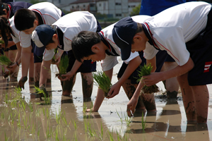 成立学園中学・高等学校