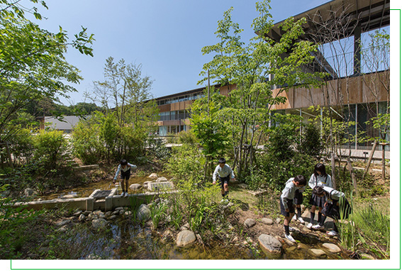 四季折々の生き物がたくさん！ ビオトープ