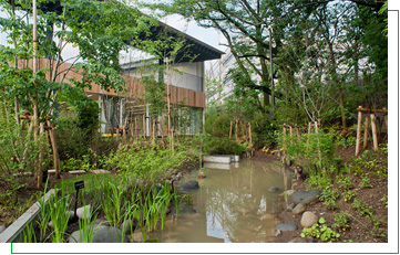 四季折々の生き物がたくさん！ ビオトープ