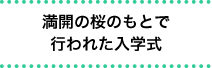 満開の桜のもとで行われた入学式