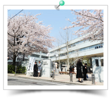 満開の桜のもとで行われた入学式