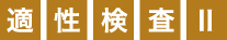 適性検査Ⅱ