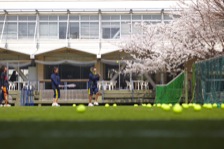 桜の下で元気に部活動