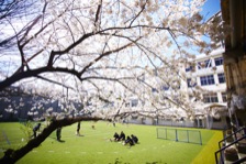 春風に包まれて小休止