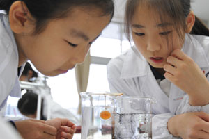 昭和学院小学校