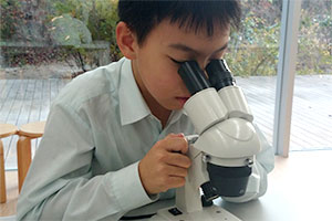 帝京大学小学校