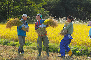 和光中学高等学校