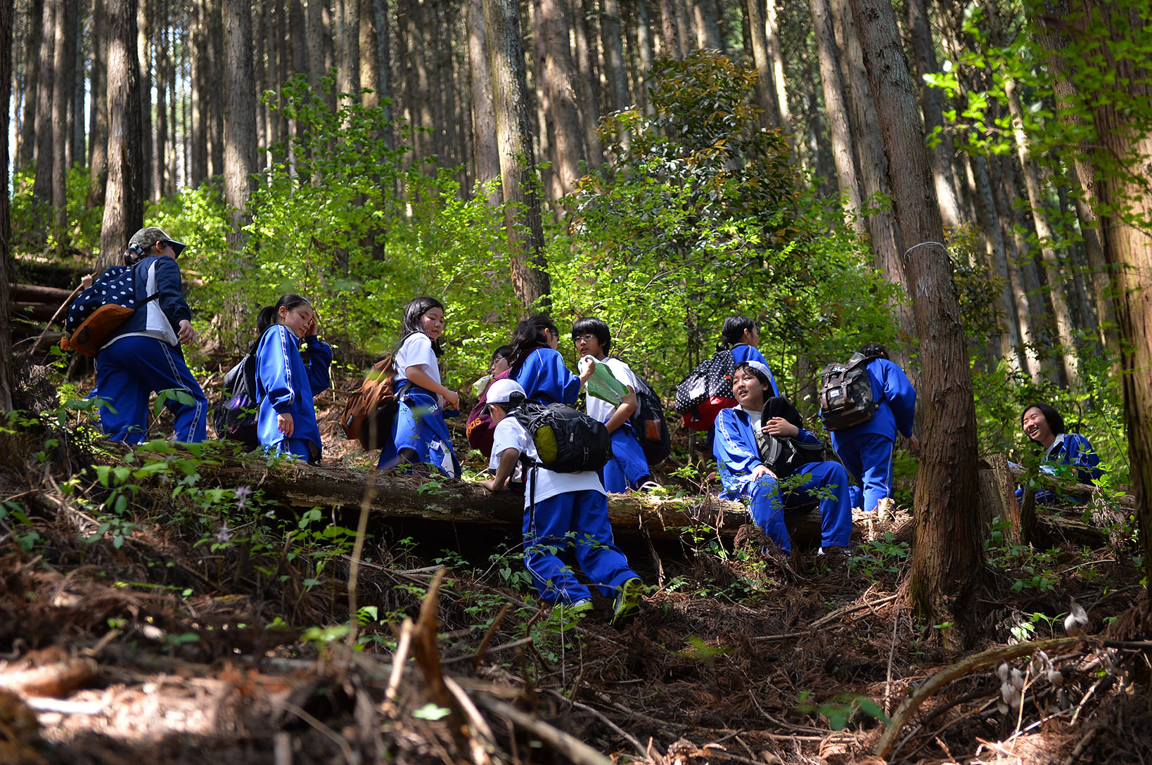 東京電機大学中学校・高等学校
